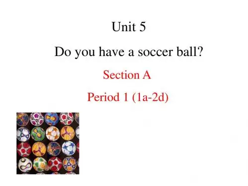 unit 5 Do you have a soccer ball全单元教学课件