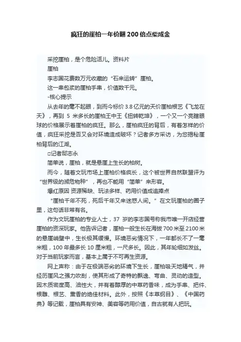 疯狂的崖柏一年价翻200倍点柴成金