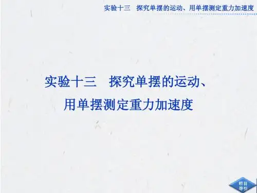 高考物理第一轮总复习课件：实验十三