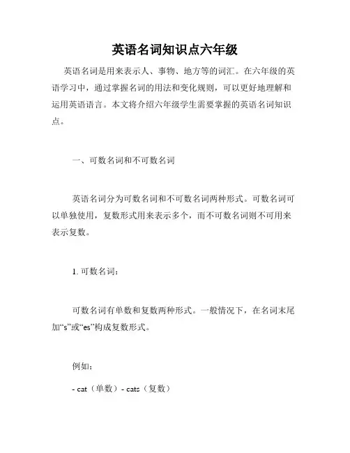 英语名词知识点六年级