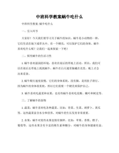 中班科学教案蜗牛吃什么