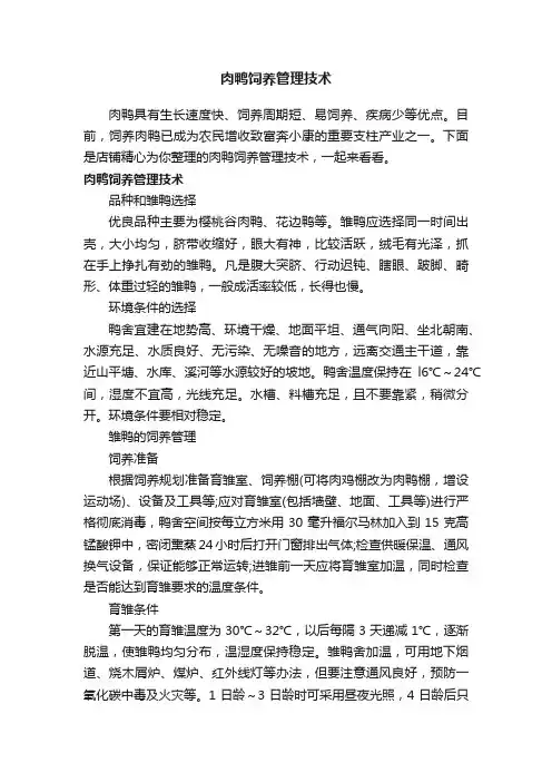 肉鸭饲养管理技术