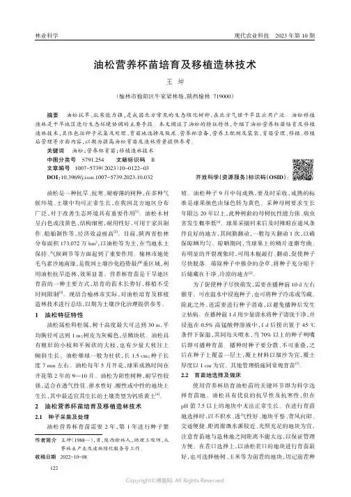 油松营养杯苗培育及移植造林技术