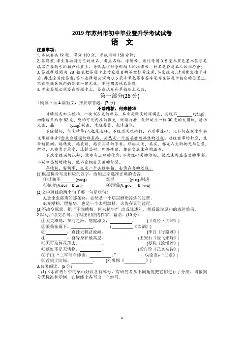 【精选】2019年江苏省苏州市中考语文试卷