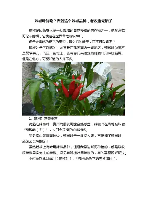 辣椒叶能吃？看到这个辣椒品种，老农也无语了