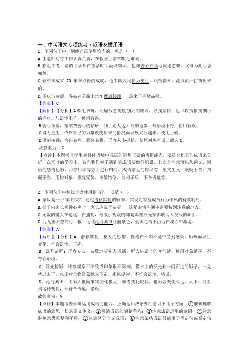 【精品】人教版中考 语文成语及惯用语练习含答案