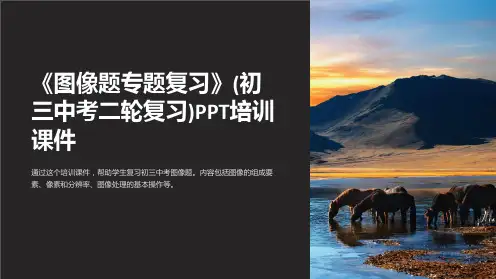 《图像题专题复习》(初三中考二轮复习)PPT培训课件
