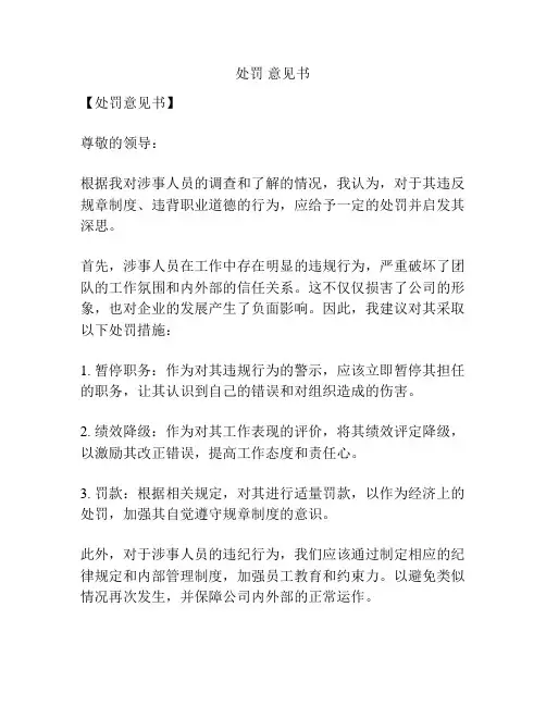 处罚 意见书