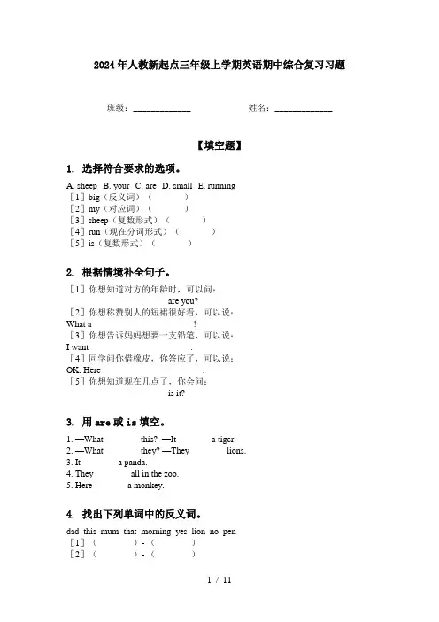 2024年人教新起点三年级上学期英语期中综合复习习题