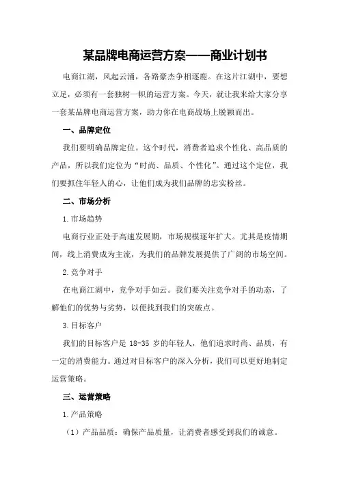 某品牌电商运营方案——商业计划书