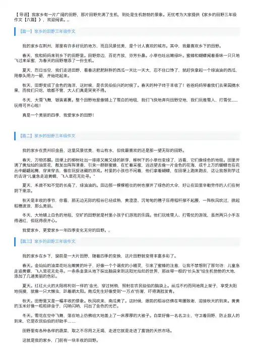 家乡的田野三年级作文【六篇】