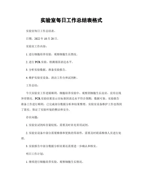 实验室每日工作总结表格式