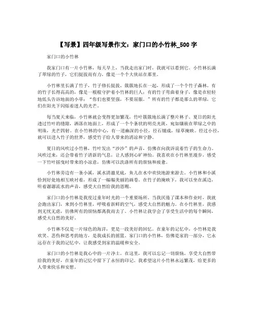 【写景】四年级写景作文：家门口的小竹林_500字