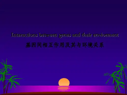 基因的作用及其与环境的关系