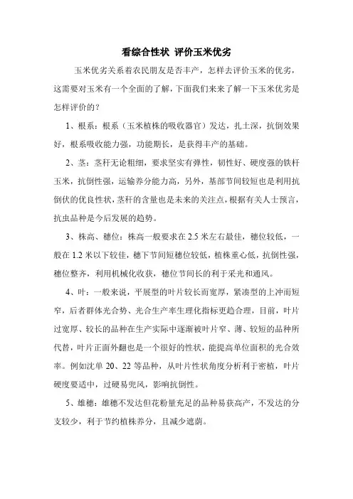 看综合性状 评价玉米优劣.doc