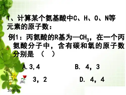 生物：蛋白质计算题(新人教版必修1) 共19页