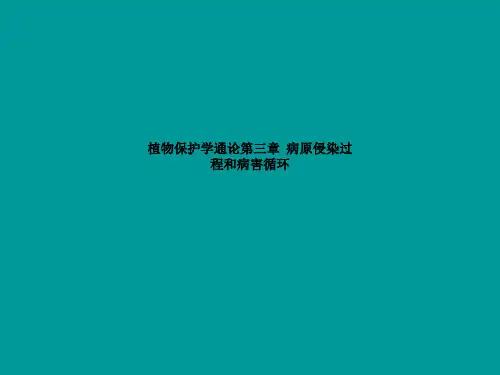 植物保护学通论第三章  病原侵染过程和病害循环
