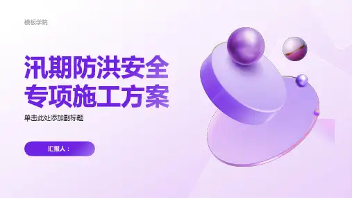 汛期防洪安全专项施工方案