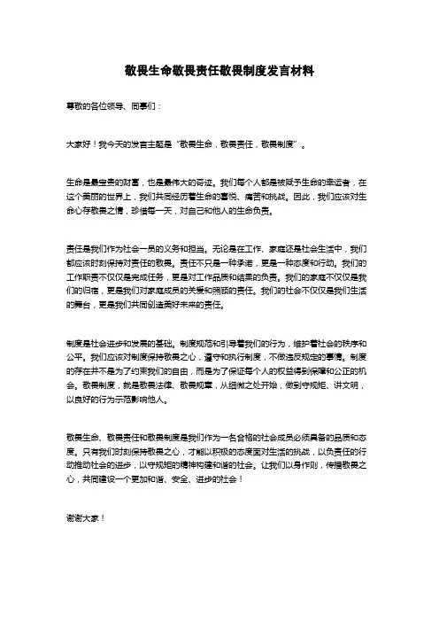 敬畏生命敬畏责任敬畏制度发言材料