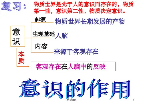 《意识的作用》PPT课件