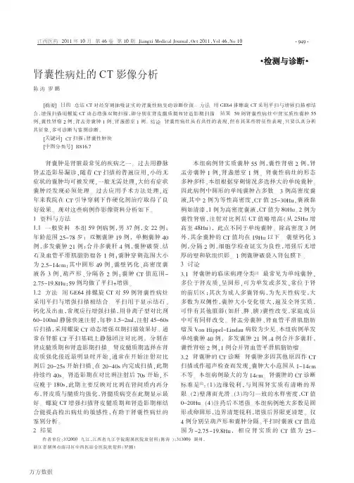 肾囊性病灶的CT影像分析