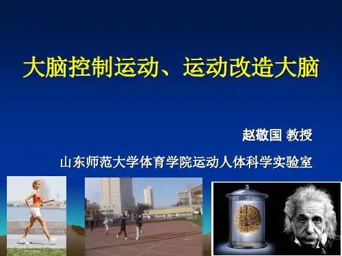 运动改造大脑