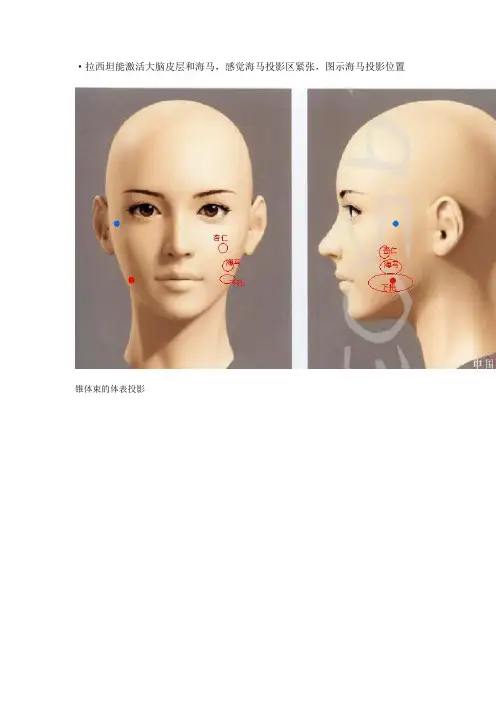 巫医神兔医学催眠术笔记十三册(2014-1-30存档)剖析
