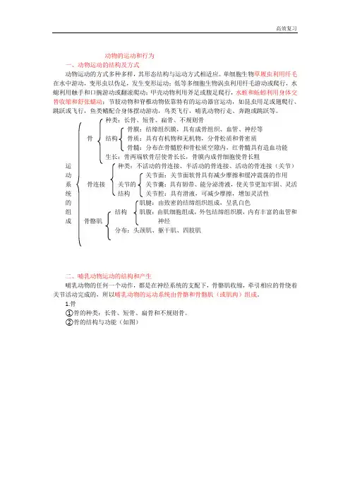 人教版九年级生物中考复习_动物的运动和行为知识总结.含答案