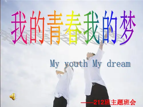 我的青春我的梦