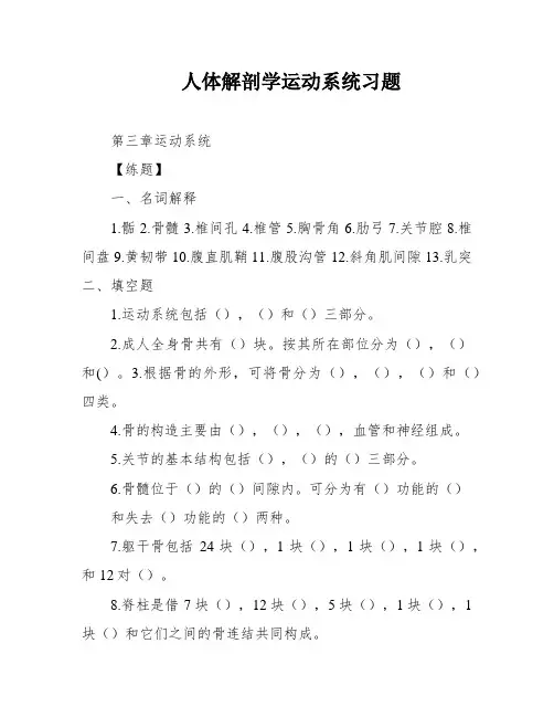 人体解剖学运动系统习题