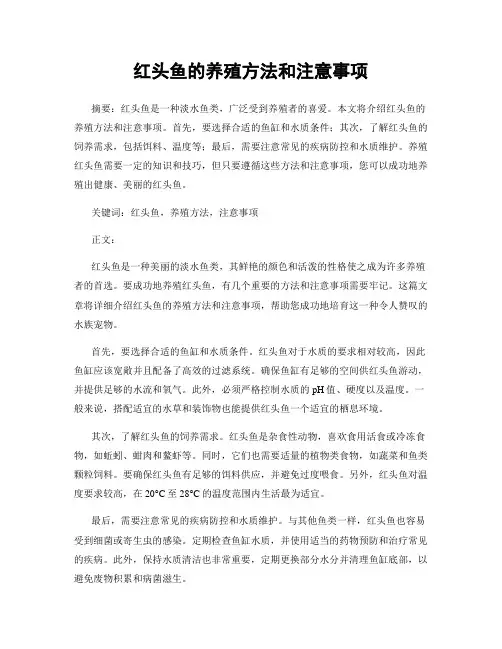 红头鱼的养殖方法和注意事项