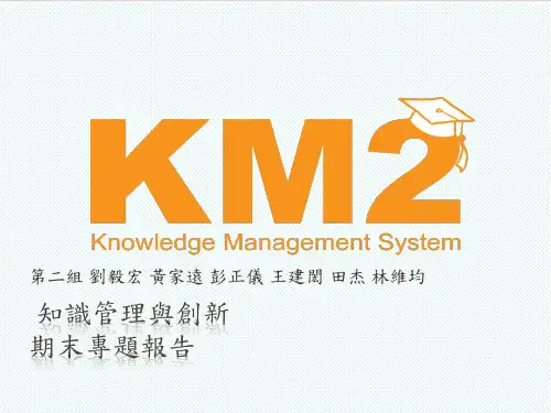 KM知识管理-企业的知识管理 精品