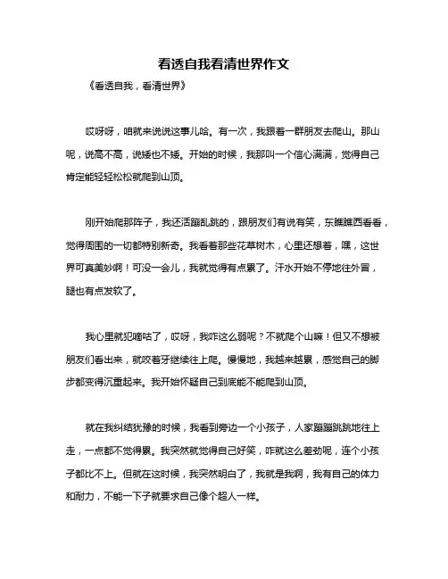 看透自我看清世界作文