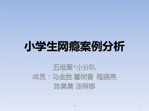 小学生网瘾案例分析PPT课件