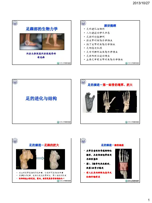 足踝生物力学