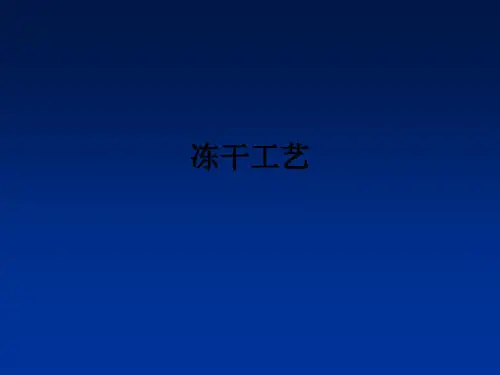 冻干工艺ppt课件