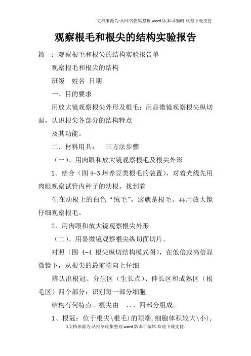 观察根毛和根尖的结构实验报告