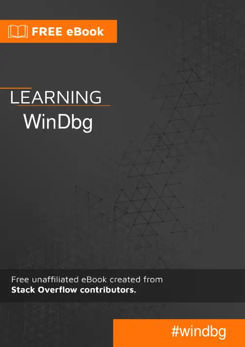 WinDbg用户指南说明书