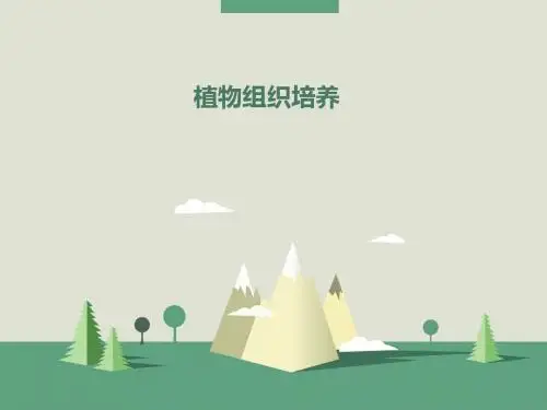 植物组织培养技术