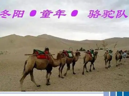 冬阳童年骆驼队课件(PPT_23页)