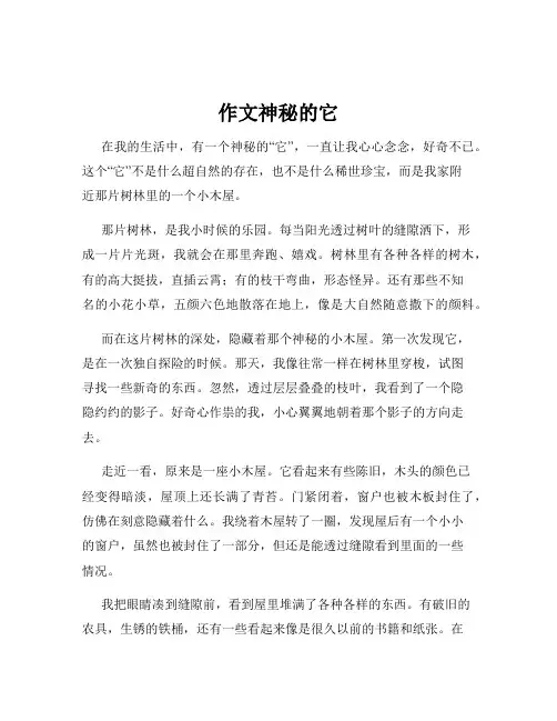作文神秘的它