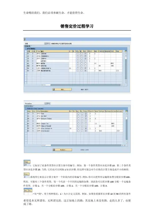 SAP-销售定价定价过程学习