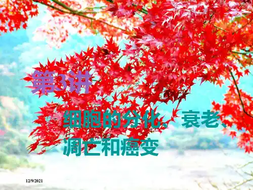 高考生物一轮复习 第四单元 第3讲 细胞的分化、衰老、凋亡和癌变课件(必修1)