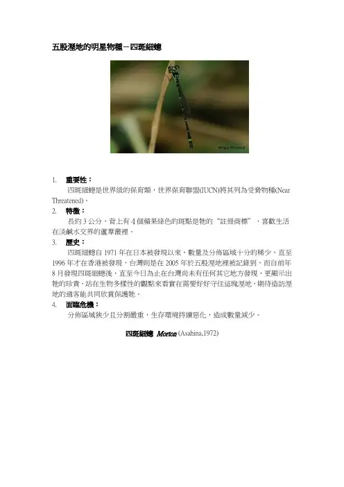 五股溼地的明星物种-四斑细蟌