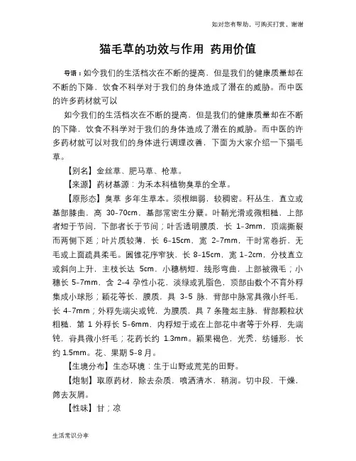猫毛草的功效与作用 药用价值