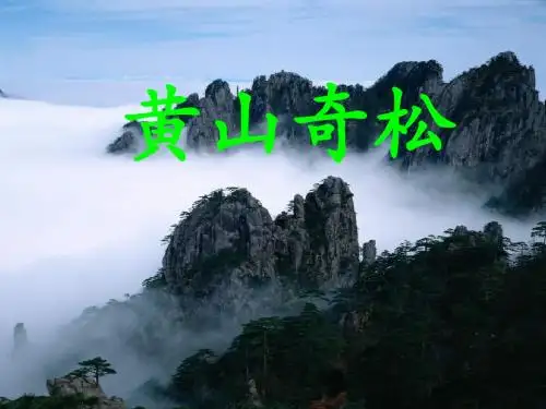 黄山奇松课件(苏教版)
