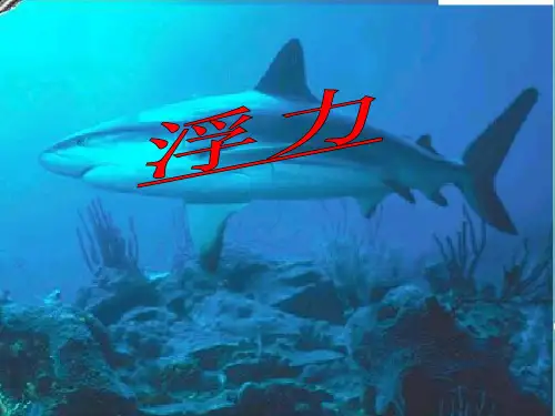10.1-浮力 教学课件(含答案)【人教版】2019学年八下物理