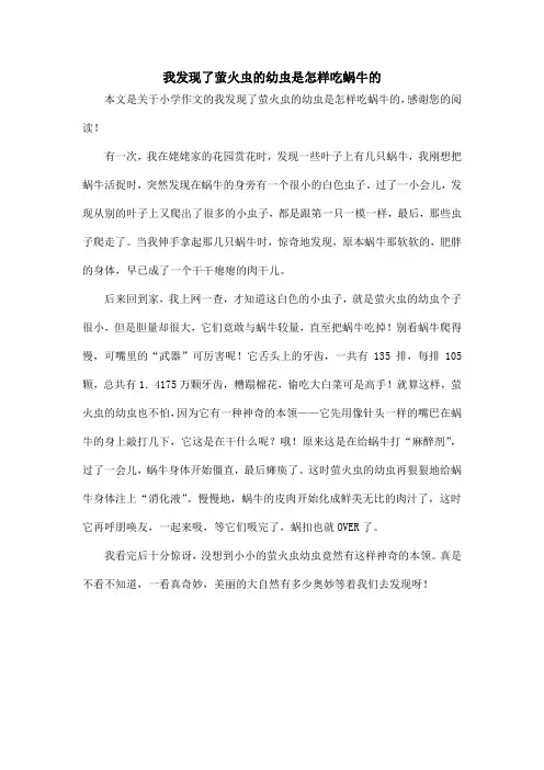 我发现了萤火虫的幼虫是怎样吃蜗牛的_小学作文