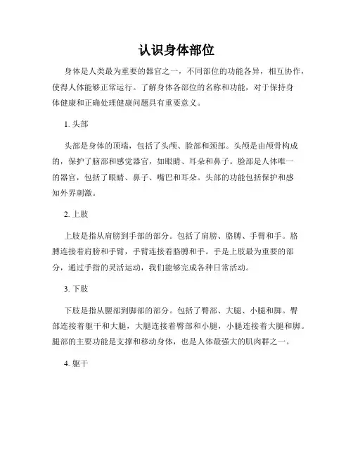 认识身体部位