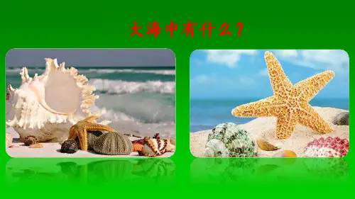 【部编版】二年级语文下册《识字3 “贝”的故事》公开课优秀课件